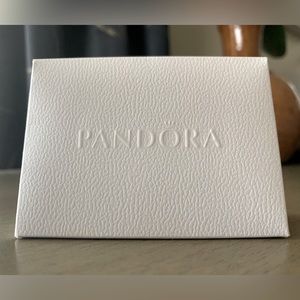 Pandora Small Bag. Perfect for charm or a ring.